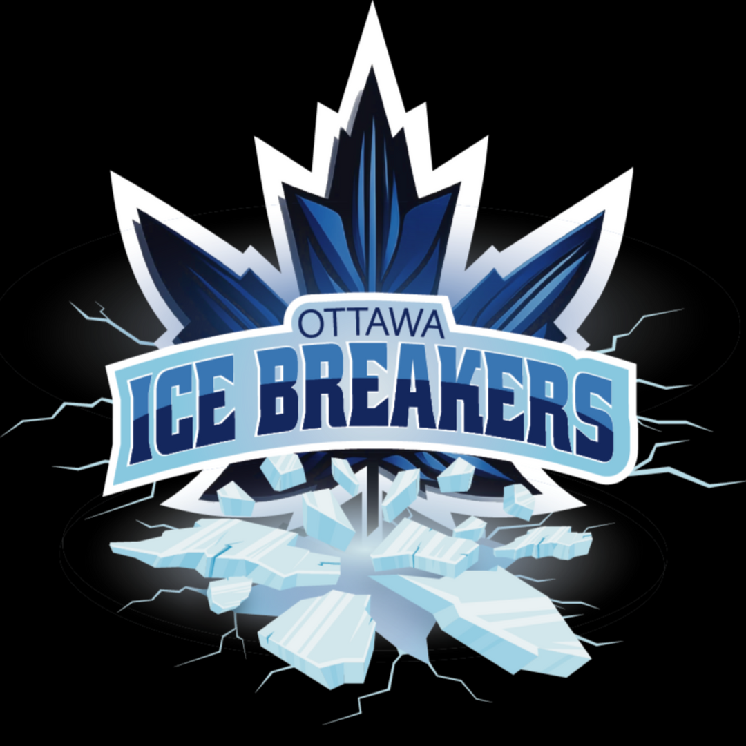 Basic Logo Design Package